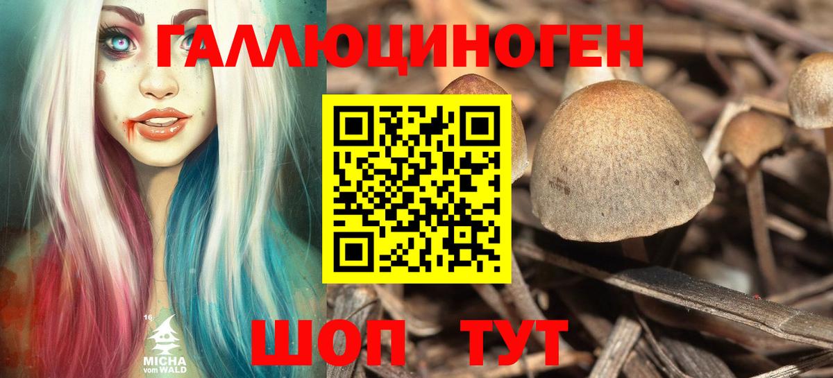 Псилоцибиновые грибы MAGIC MUSHROOMS  Псилоцибиновые грибы Cubensis  цена   Евпатория  Вход с VPN 